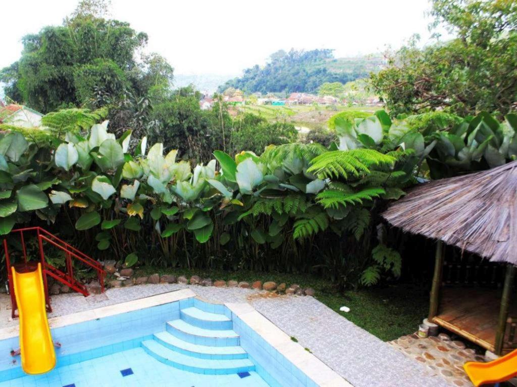 Hotel Albis 2*